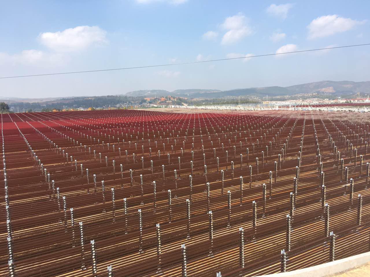 云南石林爱生行公司雨生红球藻养殖基地(管道式)