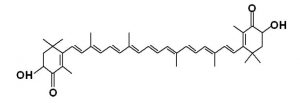 图7. 虾青素化学分子结构式（其中一种）