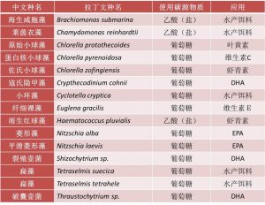 表2. 可异养微藻种类及应用