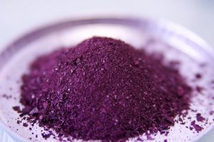 图3.紫球藻干粉 （引自https://www.flickr.com/photos/microphyt/6424772095）
