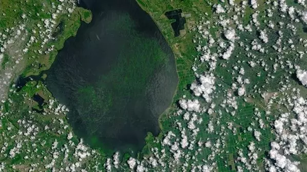 美研究人员开发出有害藻华发生的预警方法