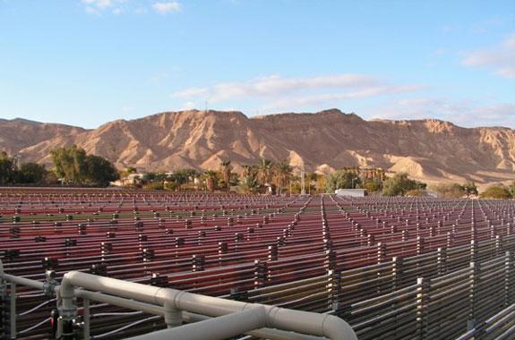 图6.以色列Algatech公司位于内盖夫沙漠中的管道式雨生红球藻养殖基地