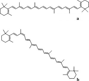 图5.β-胡萝卜素的两种异构体。 a.9-cis-β-胡萝卜素, b. all-trans-β-胡萝卜素。 （*化学合成的β-胡萝卜素均为全顺式）