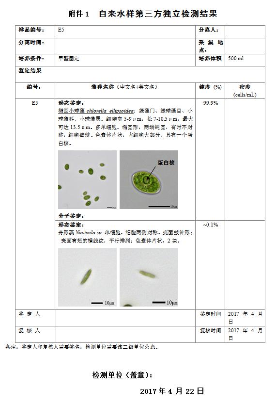 藻类鉴定报告
