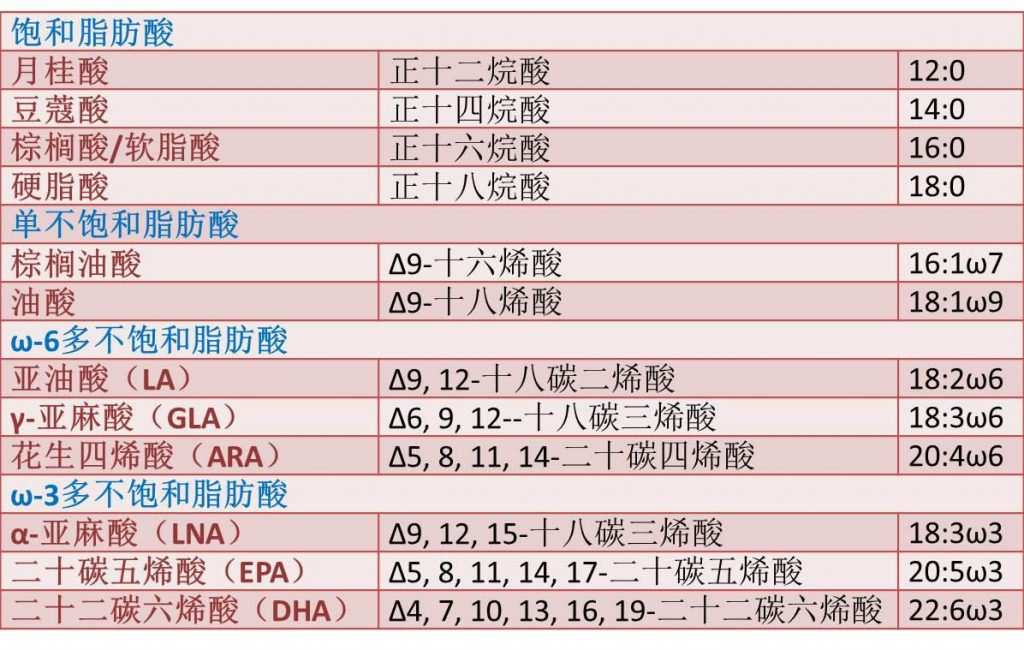 表1.常见脂肪酸的不同命名比较