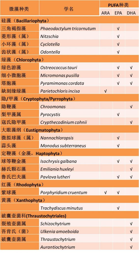 表2.研究和生产中常见的含有PUFA的微藻（菌）种类