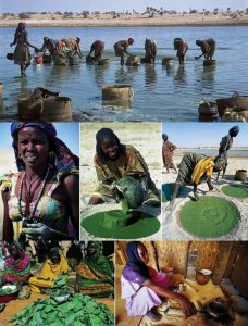 图6.乍得Kanembu族土著在非洲乍得湖岸附近的小水塘采收螺旋藻，做成的干藻块称为“Dihé”。