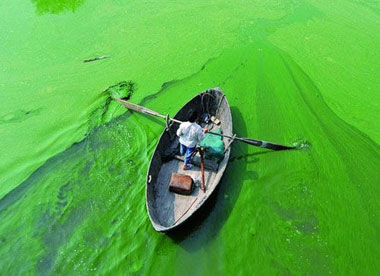 2017年6月29日,第四届"蓝藻水华与环境因子相互作用的