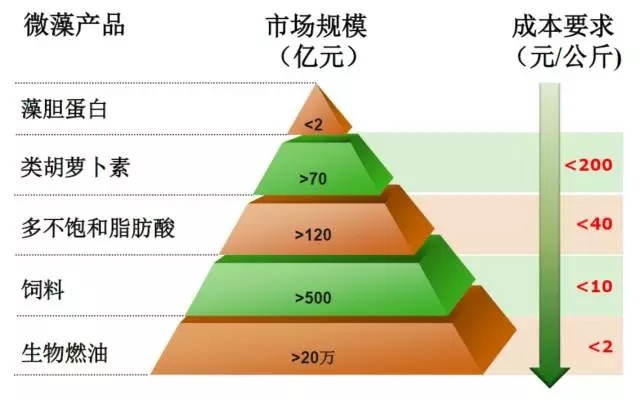 微藻产业化