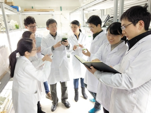 廖强教授（左四）正在实验室给大家讲解微藻的特性