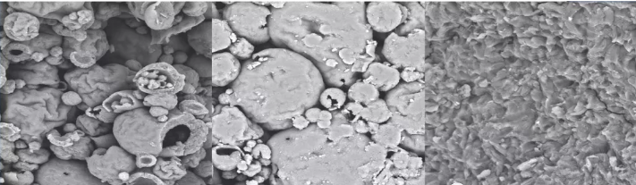 在热机械力实加过程中，微藻细胞逐渐融合在一起（从左往右）