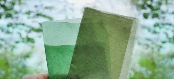 Evoware食用包装