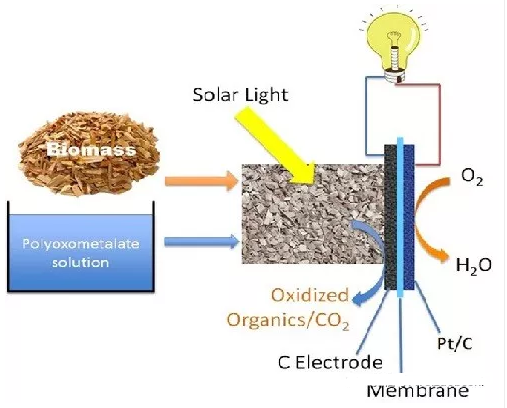 藻类生物质燃料低温电池示意图
