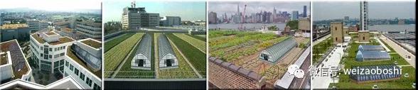 城市和屋顶的模块化水上复合养殖花园