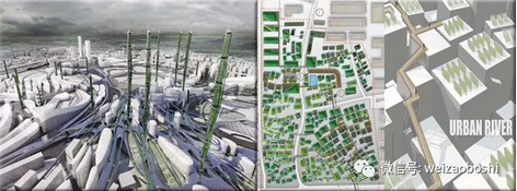 (下)台湾台北的藻类生态系统结构建筑。Aleksandrina Rizova和Richard Beckett。中国深圳的岗下村城市藻类培养结构,Kady、Wong Hoi Kei等人。