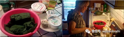 一种新鲜的螺旋藻,用于炸薯片,饼干和面包。Denise Fox,法国