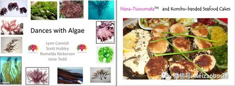 与藻类-藻类食物和食谱共舞,Lynn Cornish, Scott Hubley, Romelda Nickerson, Josie Todd,加拿大