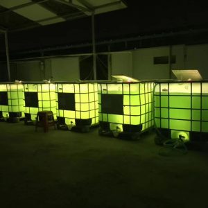 集装桶吨桶藻类培养器