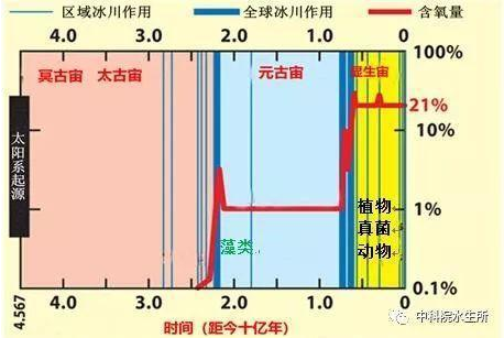 图3 藻类出现提高早期地球大气的氧含量并促进了高等生物进化(图片来源于网络)