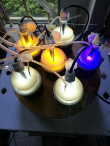 6通道光生物反应器