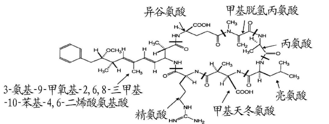  图2 微囊藻毒素化学结构图