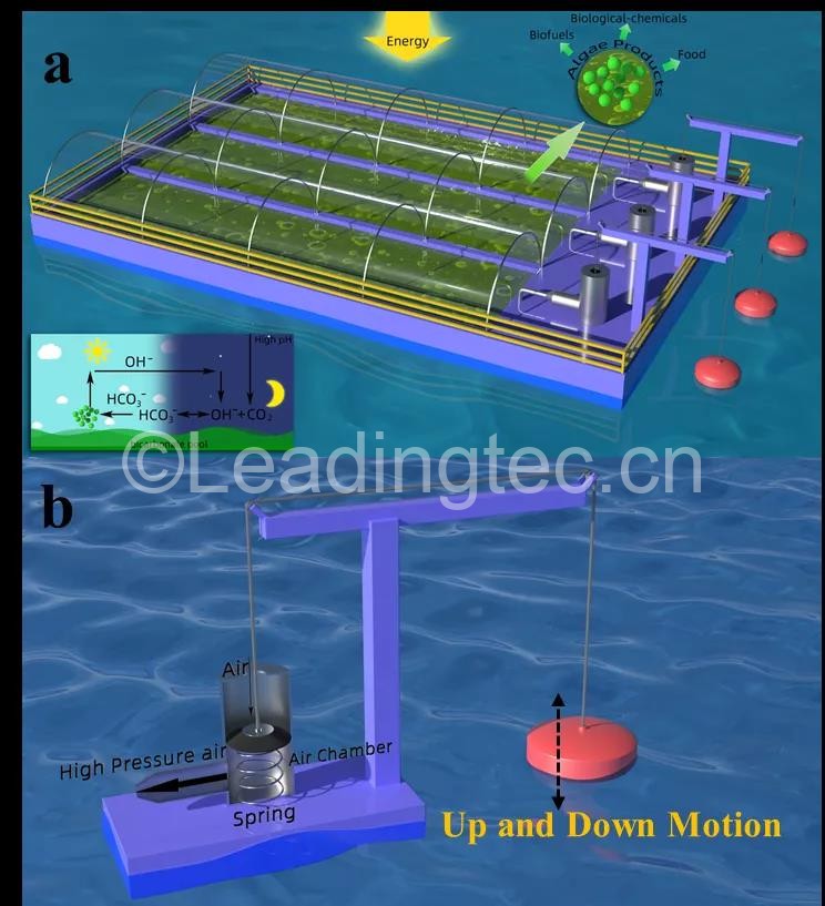 波浪能驱动的高效海洋微藻农场