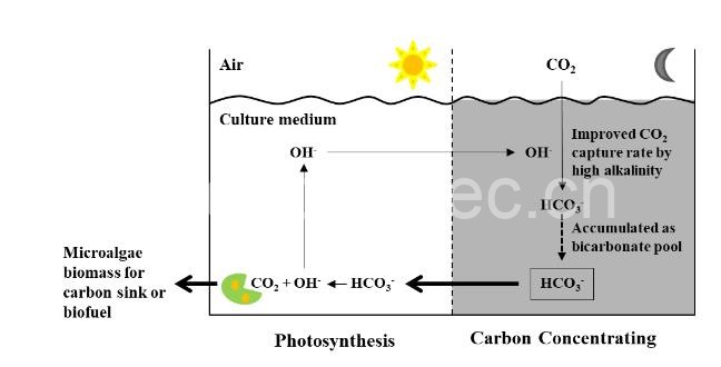  “碳池”工作原理