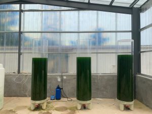 绿藻透明培养柱