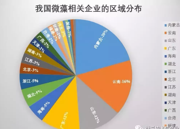 我国微藻企业及产业的最新分布概况