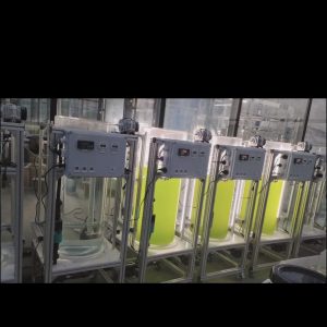 光语柱状反应器