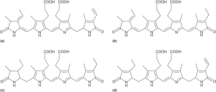 几种藻胆素的化学结构