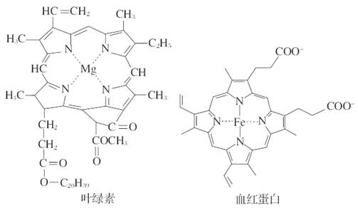 吡咯环结构式图片