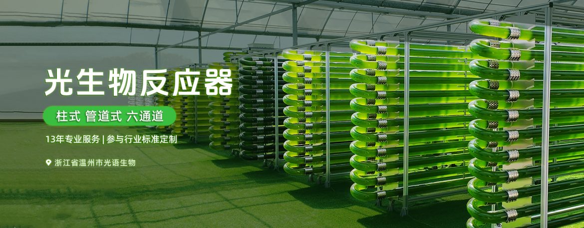 光生物反应器photobioreactor