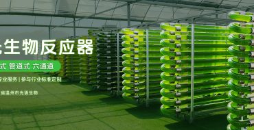 光生物反应器photobioreactor