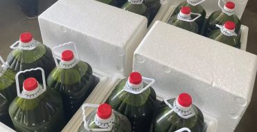 光语自养海水微拟球藻浓缩液