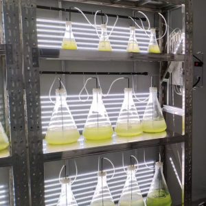 实验室专用！光语生物光照培养架GY-23PYJ-04