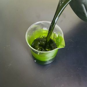 光语异养发酵罐小球藻藻液（120亿细胞/ml）