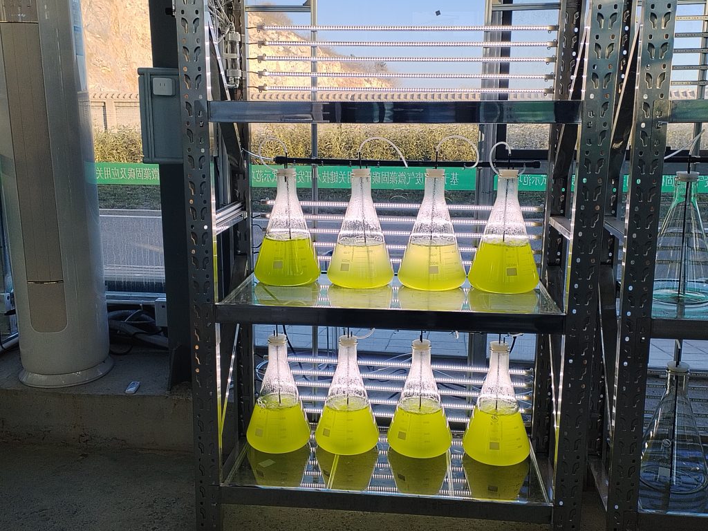 实验室专用!光语生物光照培养架GY-23PYJ-04