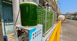 光语的工厂废气养藻系统方案取得巨大成功
