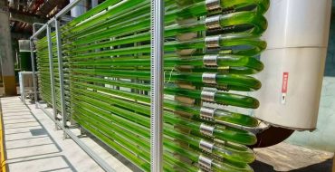 光语的工厂废气养藻系统方案取得巨大成功