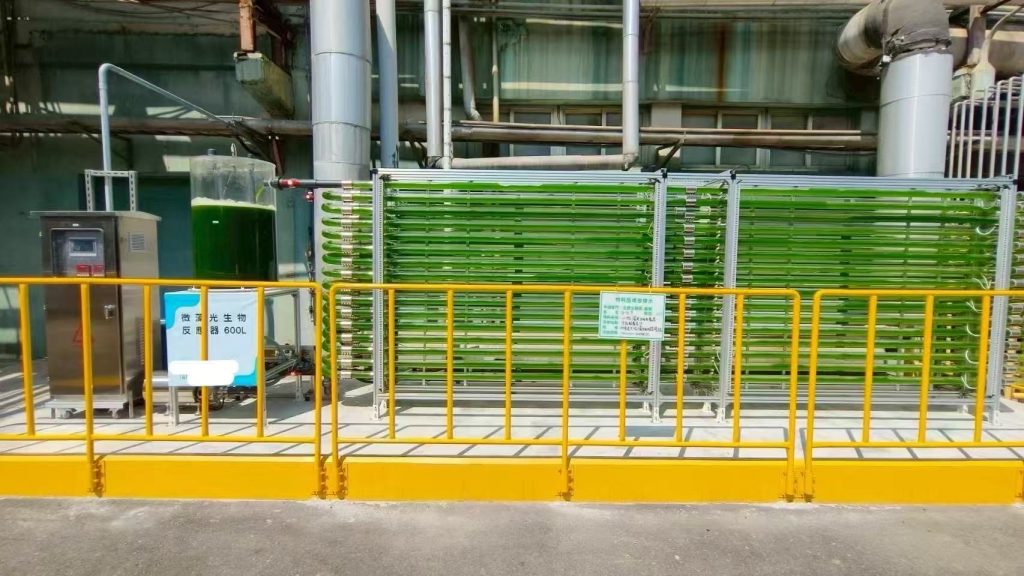 光语的工厂废气养藻系统方案取得巨大成功