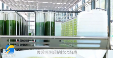 电厂如何用微藻固碳？