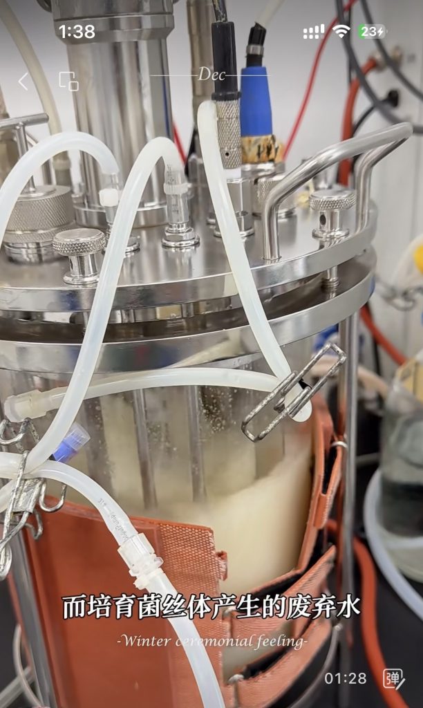光语光反应器微藻处理废水实际案例