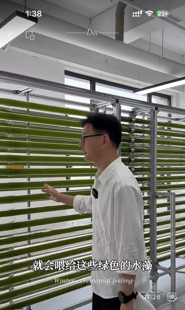 光语光反应器微藻处理废水实际案例