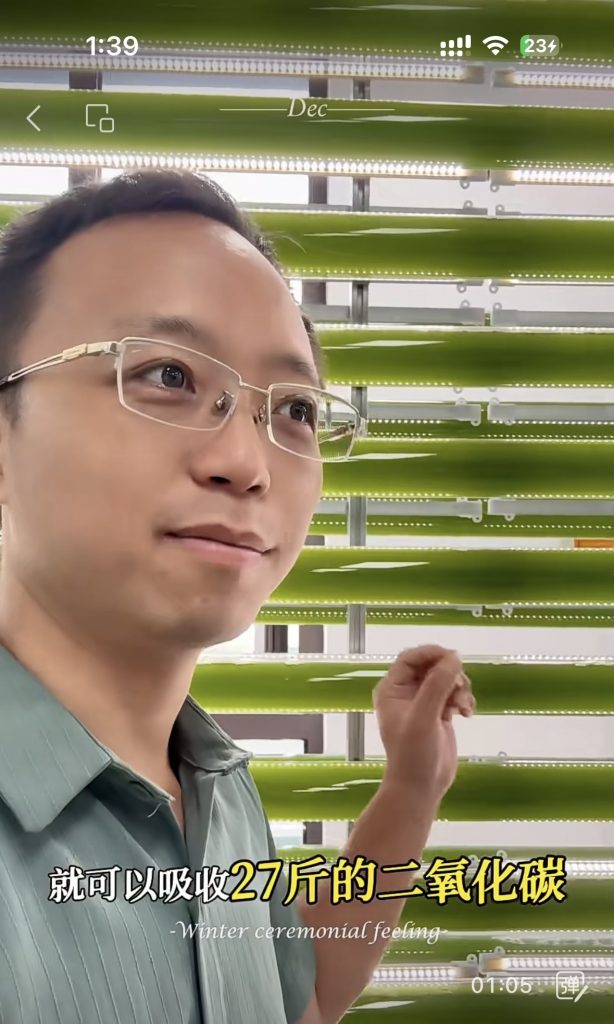 光语光反应器微藻处理废水实际案例