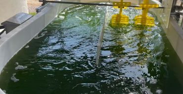 光语生物沙特微藻项目跑道池