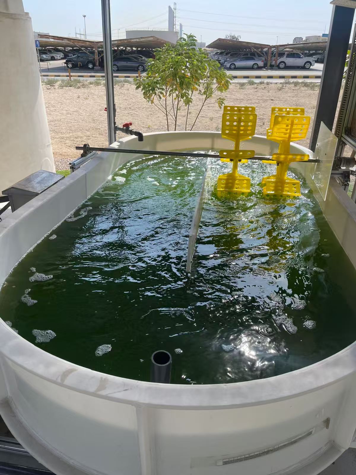 光语生物沙特微藻项目跑道池