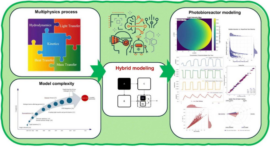 Diagram of hybrid modeling workflow: left shows a multiphysics puzzle (hydrodynamics, light transfer, kinetics, heat and mass transfer) and a model complexity chart; center labeled 'Hybrid modeling'; right shows photobioreactor modeling with colorful maps and plots.