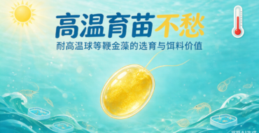 Poster with bright sun on left and thermometer on right; Chinese text about high-temperature resilience in a blue underwater-themed design.