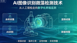 信息图展示AI图像识别微藻检测技术，中央显微镜与相机，左侧水样采集与AI识别，右侧显微成像与数据预警各环节并列。